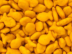 GOLDFISH